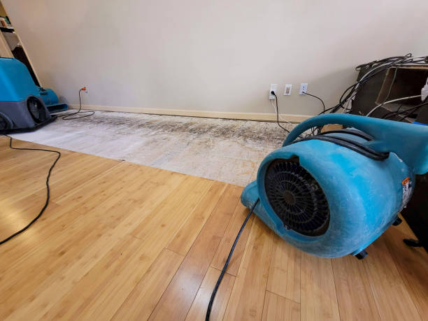 Professional Structural Drying technician working in Crandall, TX